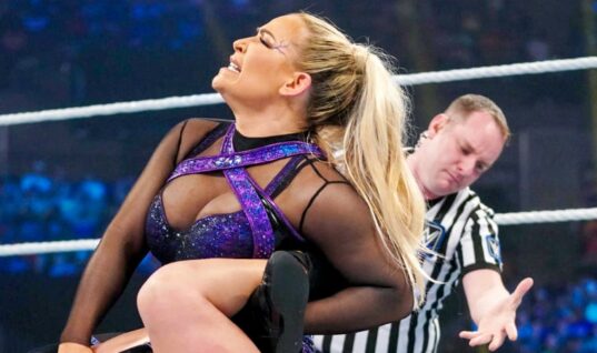 Natalya Explains Why She Asked The Rock To Write Her Memoir Foreword Over Bret Hart