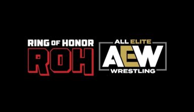 Former WWE Talent Has Signed With AEW