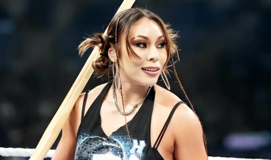 The Reason WWE Pulled Michin From Current Holiday Tour Has Been Revealed