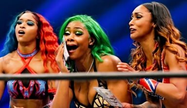 Long-Standing AEW Talent Has Departed The Company