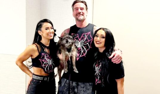 Unfortunate Update Shared Regarding CM Punk & AJ Lee’s Dog Larry
