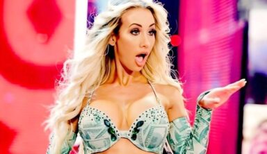 Former WWE Star Carmella Shares Happy Personal News