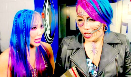 Asuka Acknowledges WWE Hall Of Famer Calling Her “Some Girl”