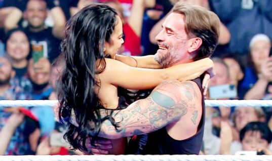Fans Say AJ Lee & CM Punk & Won The Night With Their Halloween Outfits
