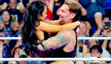 YouTuber Who Created AJ Lee Kissing Video Faces Consequences For His Actions