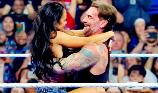 YouTuber Who Created AJ Lee Kissing Video Faces Consequences For His Actions