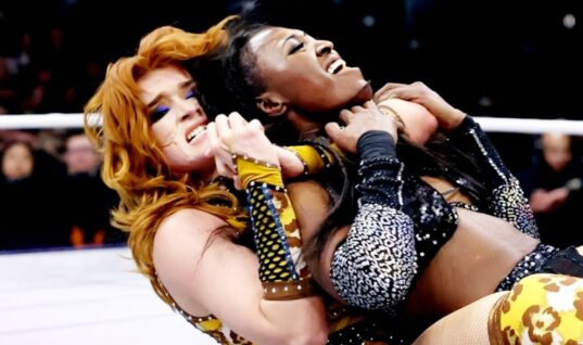 AEW Wrestler Reveals She Wants To Get A Boob Job