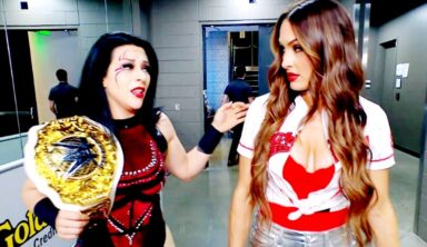 WWE Star Reveals She Now Has The Perfect Excuse To Get Larger Breast Implants