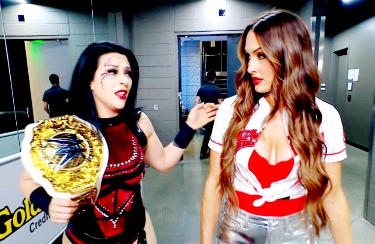 WWE Star Reveals She Now Has The Perfect Excuse To Get Larger Breast Implants