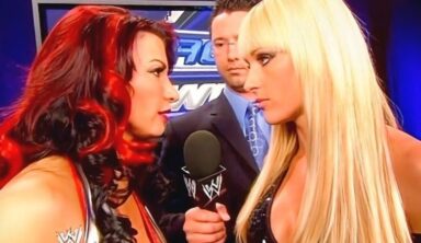 Retired WWE Diva Teases Making A Comeback