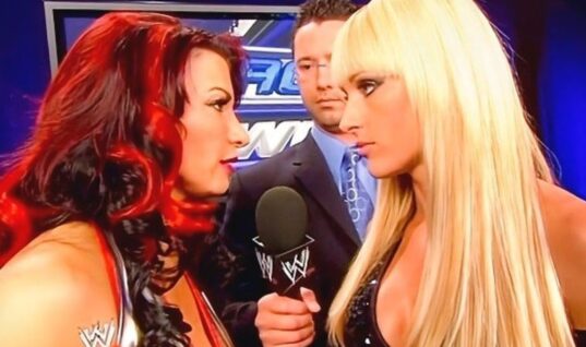 Retired WWE Diva Teases Making A Comeback