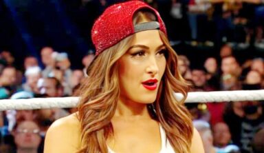 Nikki Bella Addresses Wild Fan Hookup Claim
