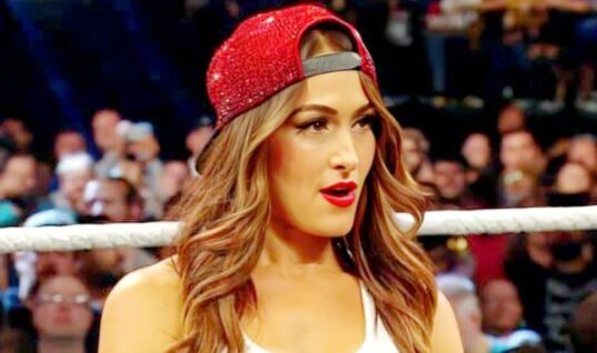 Nikki Bella Addresses Wild Fan Hookup Claim