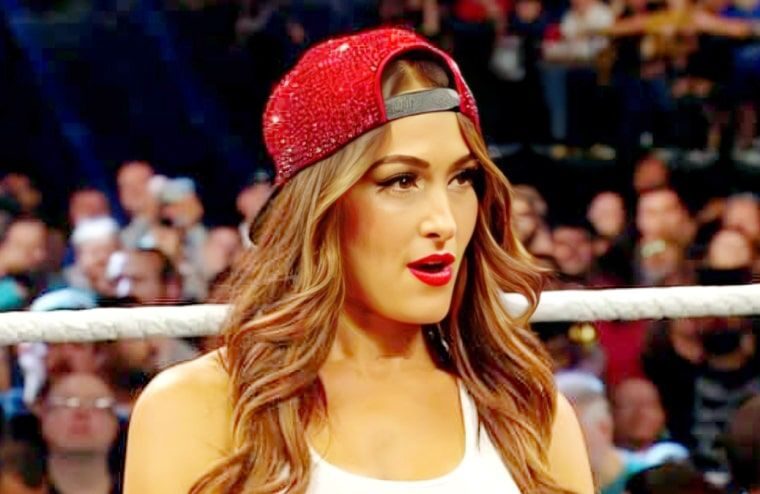 Nikki Bella Addresses Wild Fan Hookup Claim