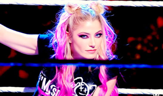 Wrestling Fan Is Selling His “Divorce-Causing” Alexa Bliss Collection 