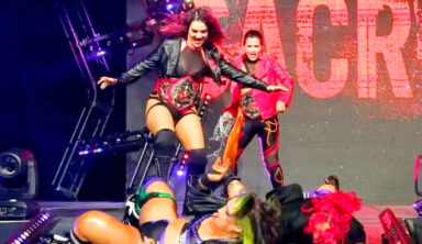 Former TNA Wrestler Shares More Information On Her Recent Departure