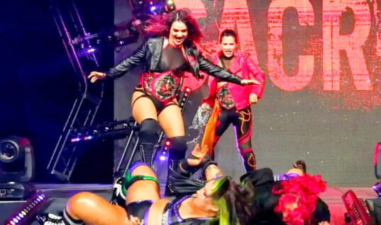 Former TNA Wrestler Shares More Information On Her Recent Departure