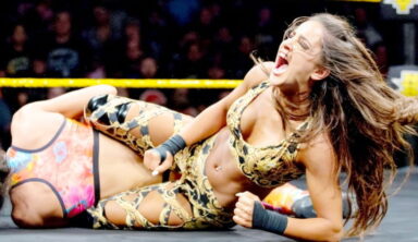 Former WWE Talent May Have Subtly Confirmed She’s Retired From The Ring