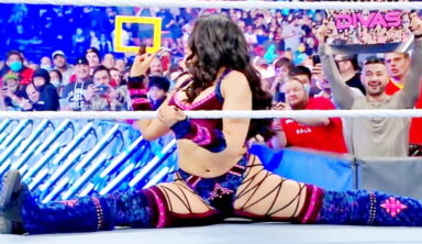 Melina Lays Out Her Terms For A Potential WWE Return