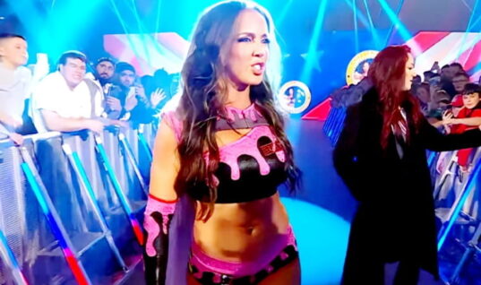 WWE Diva Chelsea Green Just Dropped The Hottest Baywatch Throwback